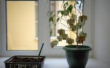 Фото: Алексей Даничев / РИА Новости