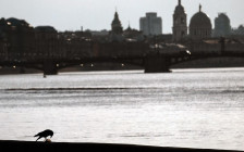 Фото: Алексей Даничев / РИА Новости