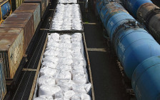 Фото: Natali55522 / Shutterstock