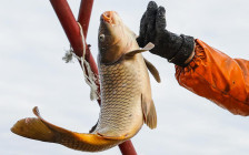 Фото: Кирилл Кухмарь / ТАСС