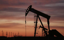 Фото: Spencer Platt / Getty Images