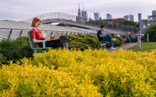 Фото: Dziurek / Shutterstock