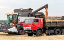 Фото: dentorson / Shutterstock