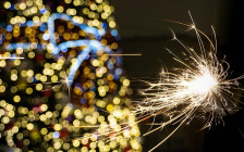 Фото: Julia Mau / Shutterstock