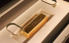 Фото: Dave Primov / Shutterstock