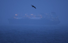 Фото: Sean Gallup / Getty Images