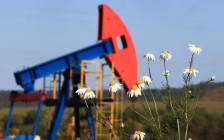 Фото: Егор Алеев / ТАСС