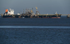 Фото: Lars Klemmer / dpa / Global Look Press