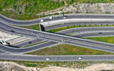 Фото: Eva Mont / Shutterstock