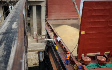 Фото: Кирилл Брага / РИА Новости