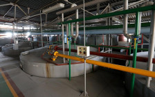 Фото: Антон Новодережкин / ТАСС