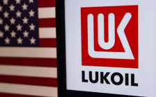 Фото: Koshiro K / Shutterstock