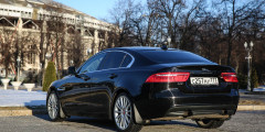 Зверобой обыкновенный. Тест-драйв Jaguar XE. Фотослайдер 0