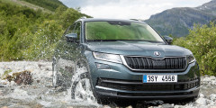 8 фактов о Skoda Kodiaq, которые нужно знать . Фотослайдер 3