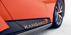 GFG Style Kangaroo