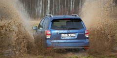 Его лесничество. Тест-драйв Subaru Forester. Фотослайдер 2