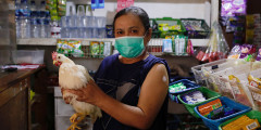 در مناطق روستایی اندونزی ، جوجه های زنده به کسانی که در برابر ویروس کرونا واکسینه شده اند ، داده می شوند.  به این ترتیب ، مقامات به شهروندان سالمند (45 سال به بالا) که اعتماد چندانی به واکسن ندارند ، انگیزه می دهند که واکسینه شوند.  قبل از این برنامه ، از 200 محلی فقط 20 نفر در شهر Chiangjura در غرب جاوا واکسینه شده اند ، اکنون طبق گفته پلیس ، بیش از 250 نفر روزانه برای واکسیناسیون ثبت نام می کنند.