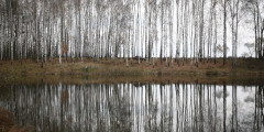 На берегу небольшого лесного озера вблизи границы с Российской Федерацией. Поселок Хотимск, Могилевская область