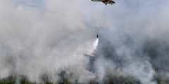 Лесные пожары в Сибири и на Дальнем Востоке стали быстро распространяться в июле. В конце месяца общая территория, охваченная огнем, составляла почти 3 млн га
