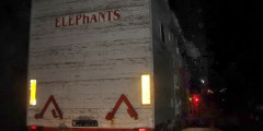 На трассе «Байкал» загорелся автомобиль со слонами. Фото. Фотослайдер 0