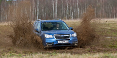 Его лесничество. Тест-драйв Subaru Forester. Фотослайдер 2