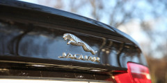 Зверобой обыкновенный. Тест-драйв Jaguar XE. Фотослайдер 5