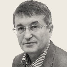 Владимир Горелик
