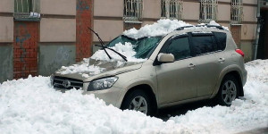 Что делать если на крышу упало дерево