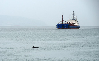 Морской экспорт бензина из России сократился вдвое из-за крепкого рубля