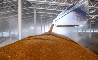 Росимущество выставило на торги одного из крупнейших зернотрейдеров