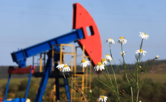 Фото: Егор Алеев / ТАСС