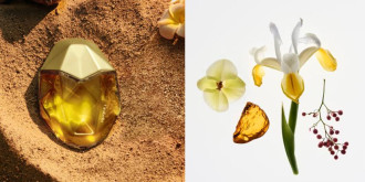 Слева: Blooming fire, Ôrəbella. Справа: парфюмерная композиция аромата You, Glossier