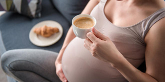 Фото: Shutterstock