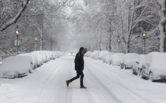 Фото:Shutterstock