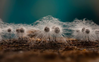 Фото:Shutterstock