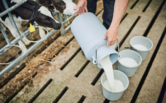 Фото:Shutterstock