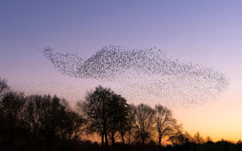 Фото:Shutterstock