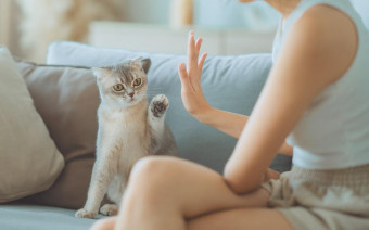 Фото:Shutterstock