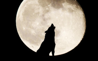 Фото:Shutterstock