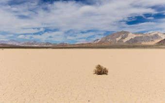 Фото:Shutterstock