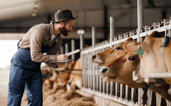 Фото:Shutterstock