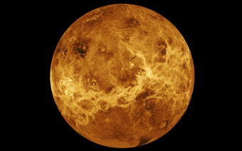 <p>Венера</p>