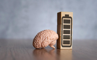 Фото:Shutterstock