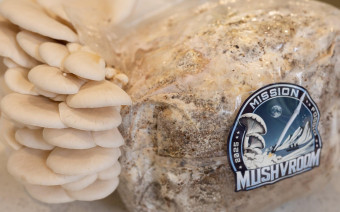 Фото:FOODiQ Global