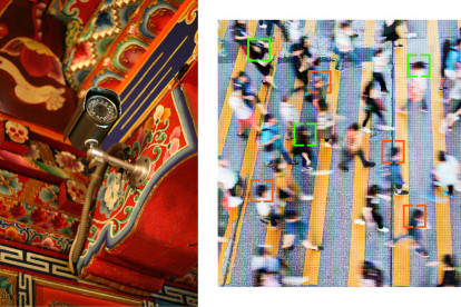 Фото: Servais Mont/Getty Images, Shutterstock