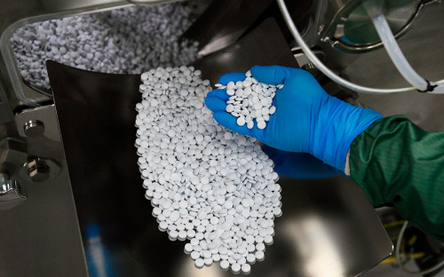 Фото: Алексей Майшев / РИА Новости