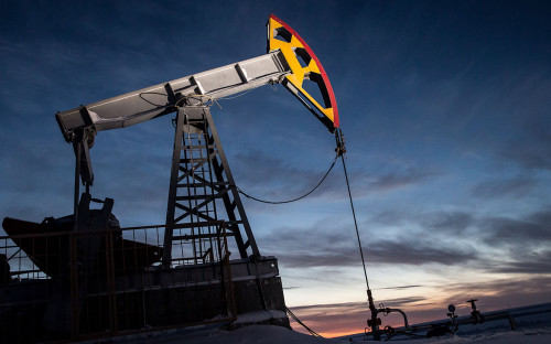 Фото: Егор Алеев / ТАСС