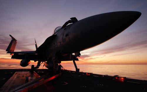 Истребитель F/A-18 Hornet