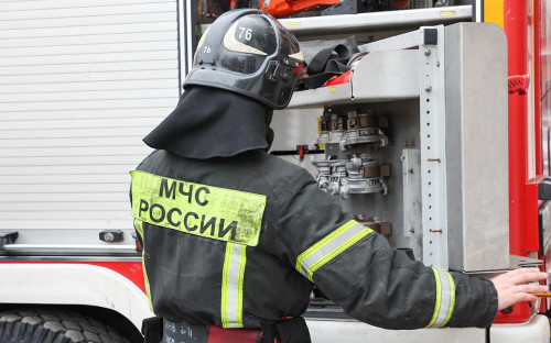 Фото: Алексей Белкин / NEWS.ru / РБК