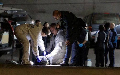 Фото: Rafa Arjones / Informacion.es via Reuters